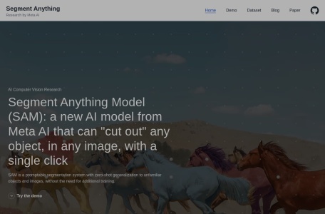 Segment Anything (SAM)