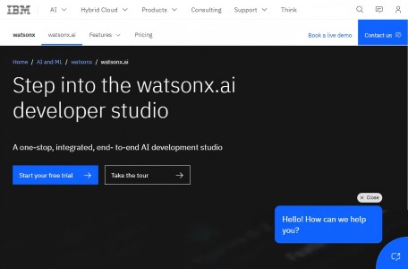Watsonx.ai