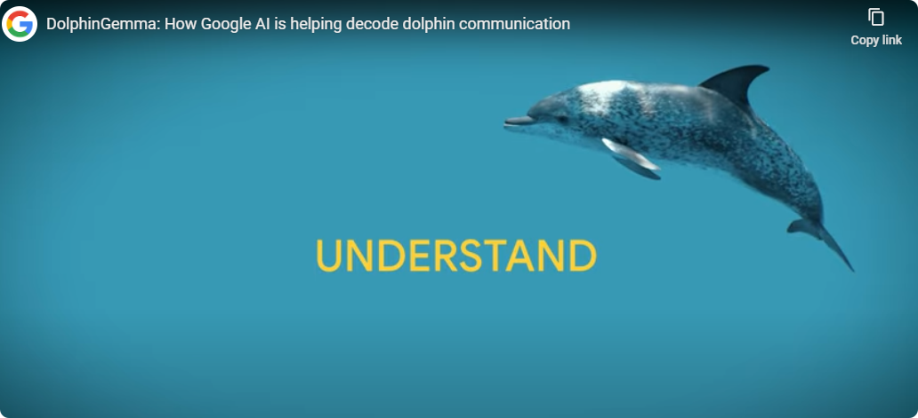 Google’s new model, DolphinGemma, can predict dolphin sounds.
