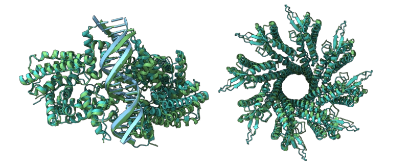 Boltz — A Next-Gen Open Source Engine for Biomolecular Modeling