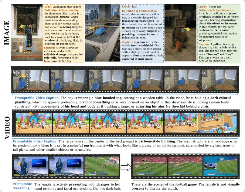 The PAM Model: A New Breakthrough in Image and Video Understanding