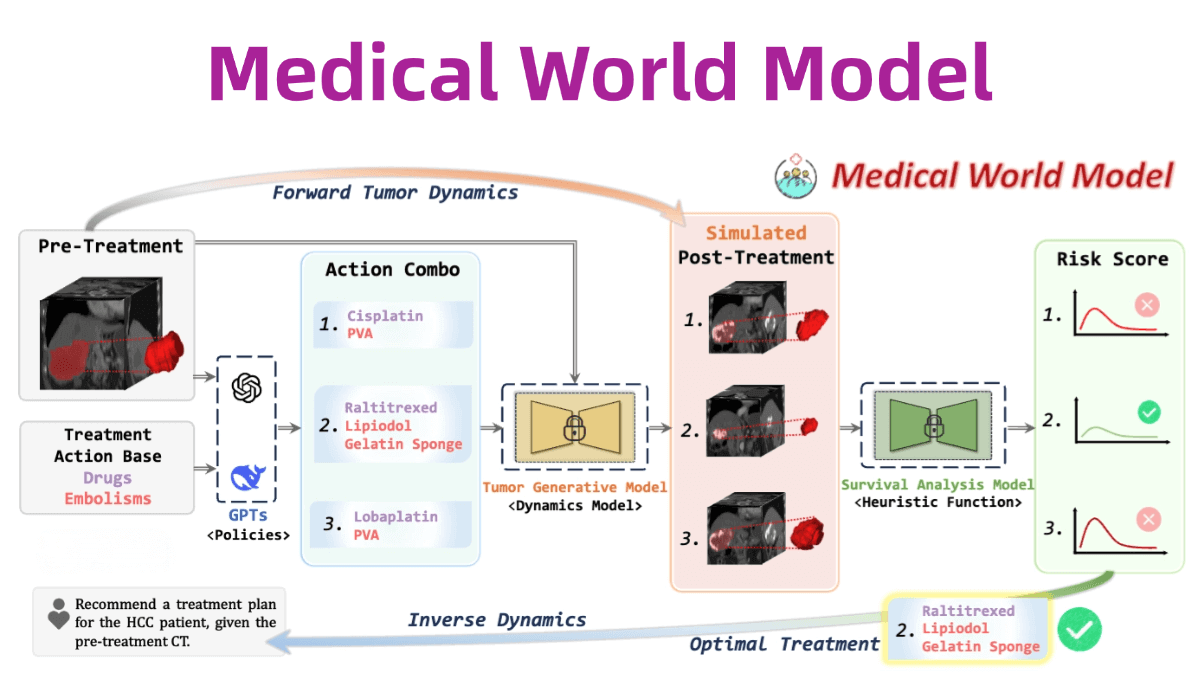 MeWM – An AI Medical World Model for Precise Simulation of Tumor Evolution